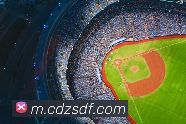 巅峰国际APP 封面图